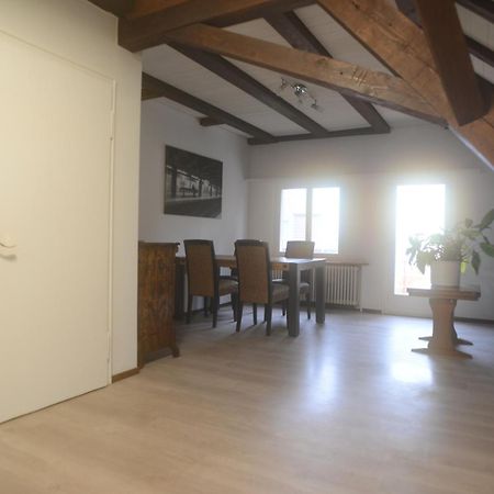 Appartements Am Bodensee Naehe Konstanz Ermatingen エクステリア 写真
